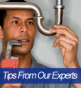 free tips to the expert